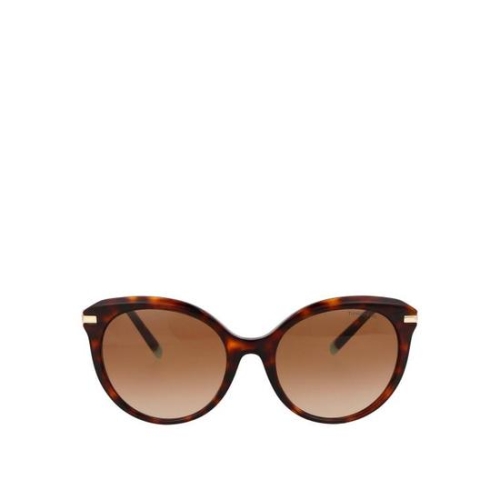 티파니앤코 선글라스 0TF4189B80023B Brown