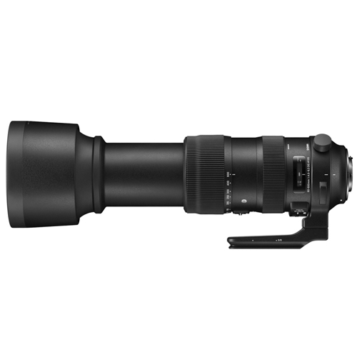 SIGMA S 60-600mm F4.5-6.3 DG OS HSM 캐논 EF용 (중고품)_이미지