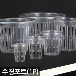 수경식물 재배 포트 1P 화분 수경포트 수경 재배 포_이미지
