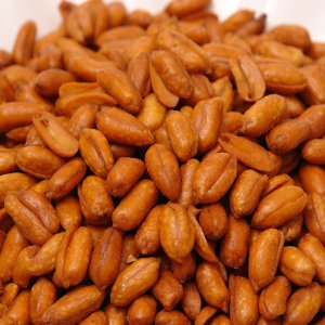 땅콩 골드땅콩 500g 고급간식 술안주 땅콩의 품격