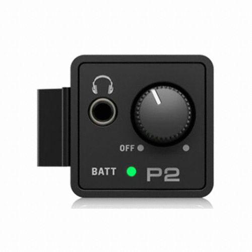 ������ P2