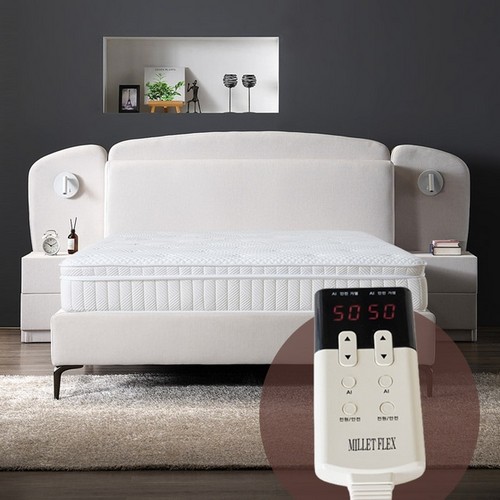 ���͵��� ȣ�ڶ��� ħ�� Q+������Ź2��