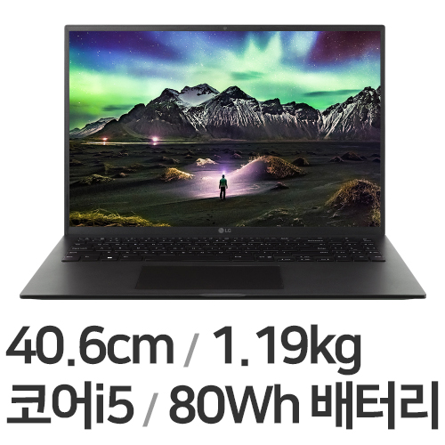 LG전자 2022 그램16 16Z95P-GA5LK (SSD 256GB)