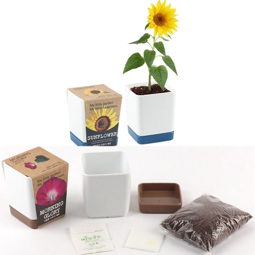 [�Ҹ�] 7C81AE �ݷ��Ĺ�Ű��� �عٶ�⾾�� �� ȭ�м�Ʈ