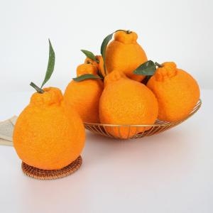 �ʷ��ڿ� �Ѷ�� ������ 6~7�� 3kg