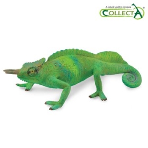 카메룬 세일핀 카멜레온 (88805)