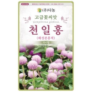 다농 자홍색 천일홍 50cm <b>씨앗</b> 100립