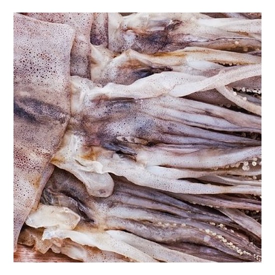 주문수산 주문진 건조 오징어 500g (1개)_이미지