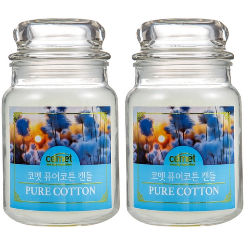 쿠팡 캔들 라지자 510g (2개)