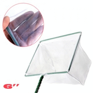 �ƻ��� Rio fish net ��ä 6��ġ/������ä ��������ä ���׶�ä ������ä �̴϶�ä �����