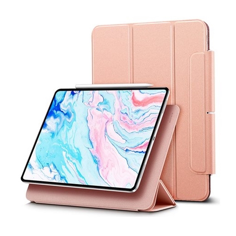 iPad Air 10.9 Folio Case