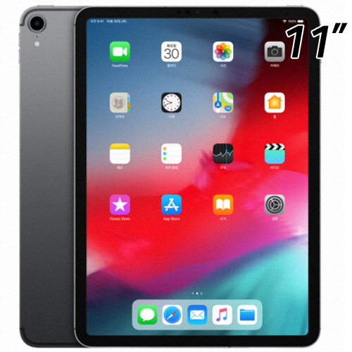 APPLE iPad Pro 11 1세대 Cellular (512GB)_이미지