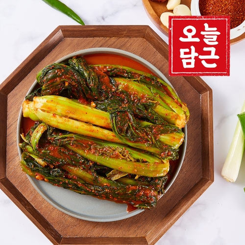 오늘담근 전라도 갓김치 2kg_이미지
