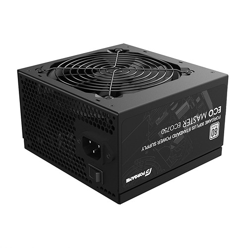 포게임 ECOMASTER ECO 750 80PLUS스탠다드_이미지