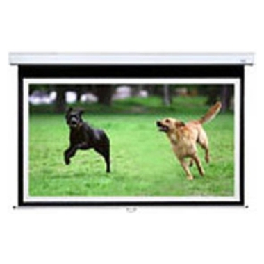 Ű��ġ Ű��ġ 100��ġ ������ �þ��ͱ׷���(221x125)