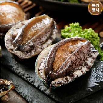 해신수산 완도 활<b>전복</b> 大 8~10미 560g