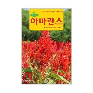 영농사 아마란스 씨앗 3000립_이미지