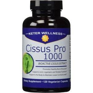  Keter Wellness 시서스 프로 1000 120정 [1개]