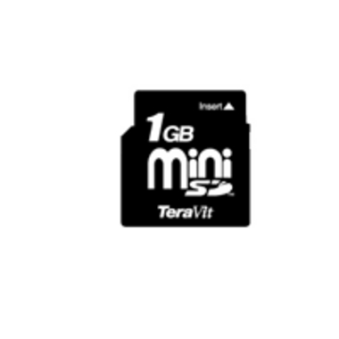 테라빛 mini SD (1GB)