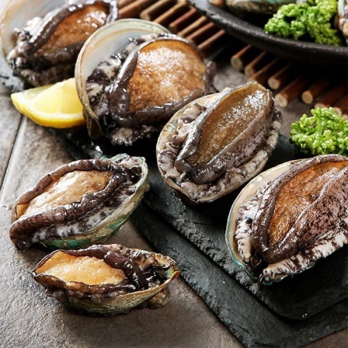 완도 활전복 대 15-16미 1kg