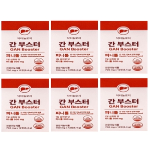 우리바이오 닥터놀로지 간부스터 700mg 12정 (6개)
