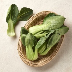 청경채 4kg 한박스