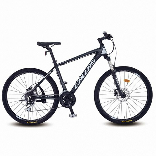 ��õ�������� ���ȶ�ġ�� Į�� 35 2016����