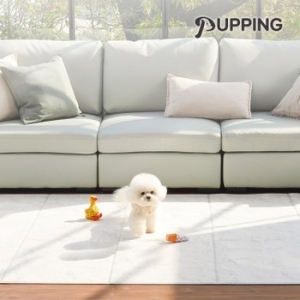 ���� ��������Ʈ ����Ÿ�� 4�� ���������