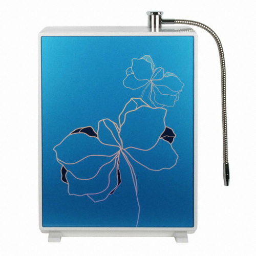 ���� �����Ǿ� �������� ������