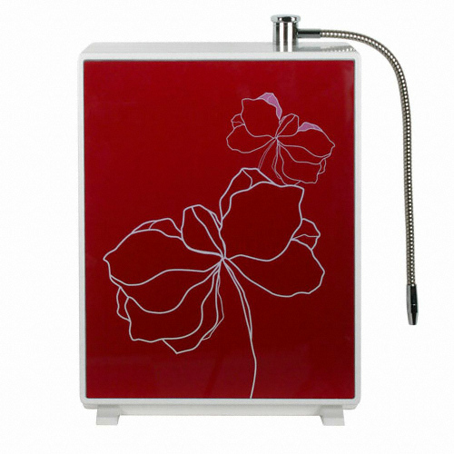 ���� �����Ǿ� �������� ������