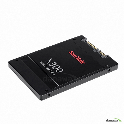 Sandisk X300 (1TB)_이미지