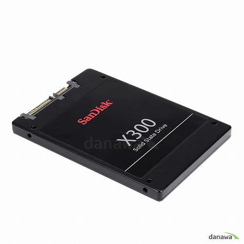 Sandisk X300 (1TB)_이미지