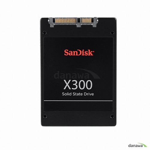 Sandisk X300 (1TB)_이미지