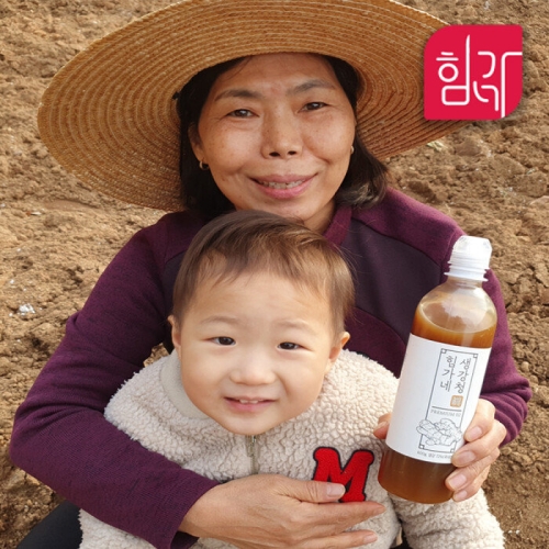 힘가네 생강청 생강차 600g 2병_이미지