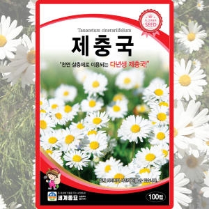 [�Ҹ�] �������� ���汹���� 100��