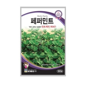 세계종묘 페퍼민트씨앗 300립