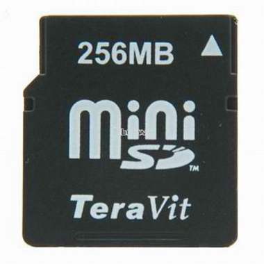 테라빛 mini SD 66x (256MB)_이미지