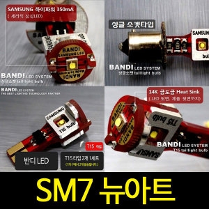 ���̵����ڸ��� �ݵ� LED ������ T15 (����Ｚ����)