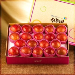산들네 달고 맛있는 경북 꿀맛사과 18~19과내외 5kg (1개)_이미지