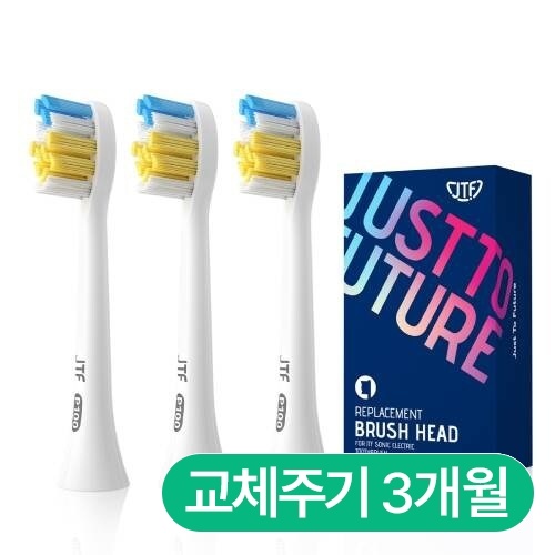 P100 전용 칫솔모