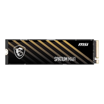 MSI SPATIUM M461 M.2 NVMe