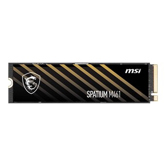 MSI SPATIUM M461 M.2 NVMe