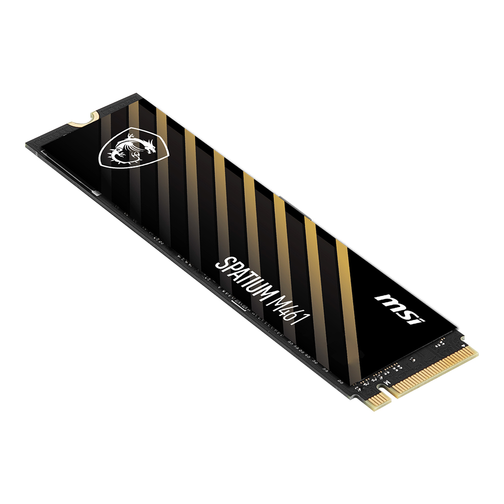 MSI SPATIUM M461 M.2 NVMe (1TB)_이미지