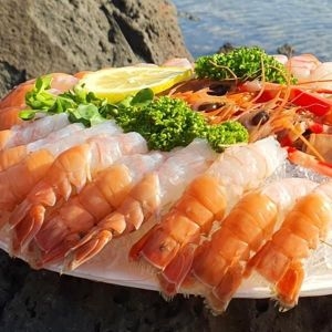 마시꾸나 제주 딱새우회 30~35미내외 200g