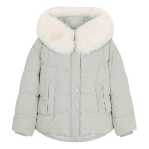 �ε������� ����Ʈ ���� �� �� �ĵ� ���� �ٿ� ���� TSGJPN82030