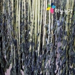 하늘농가 순수국산 무시래기 50g (5개)