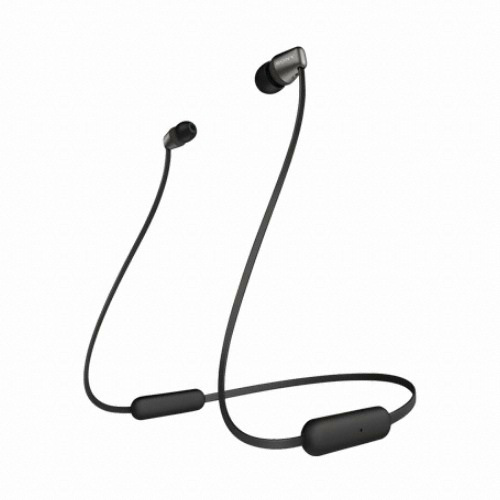 SONY WI-C310 (해외구매)_이미지