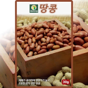 다농 땅콩 씨앗 땅콩 씨 종자 30g_이미지