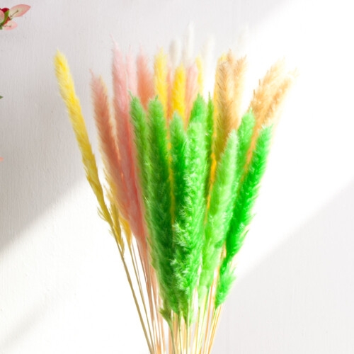 플라워트리  팜파스가지 65cm