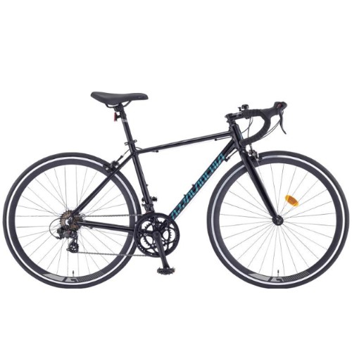 ��õ�������� ���ȶ�ġ�� R14 SE 700C (2025����)